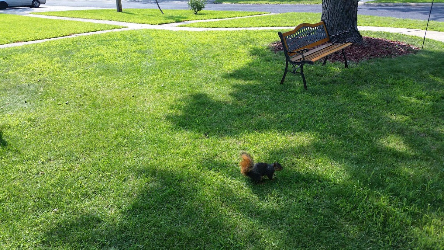 Serene Setting and Affordable Living at Stewart's Glen Apartments